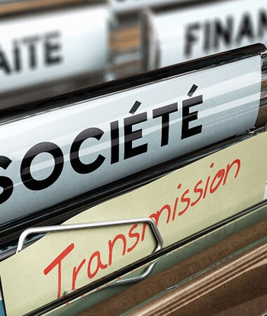 CONSEIL TRANSMISSION ENTREPRISE SAINT-MALO